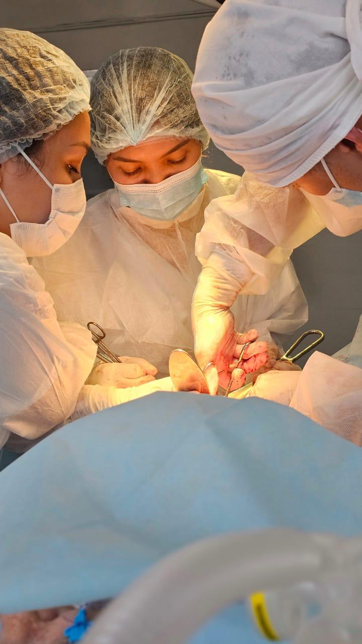 WhatsApp Image 2024-12-18 at 11.11.09